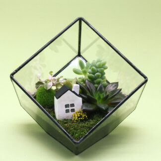 Terrario casita