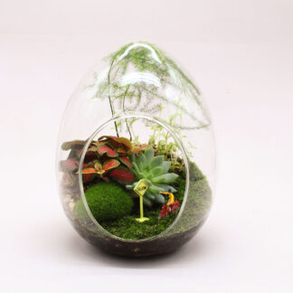 Terrario ‘Mira mamá, sin manos’