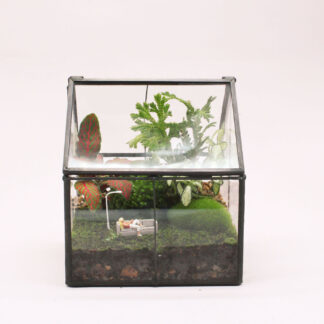 Terrario ‘Home is…’