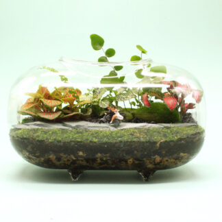 Terrario ‘Que vivan los novios’