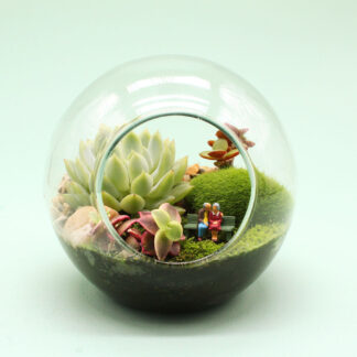 Terrario ‘Eternidad’