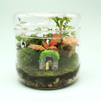 Terrario ‘Refugio’